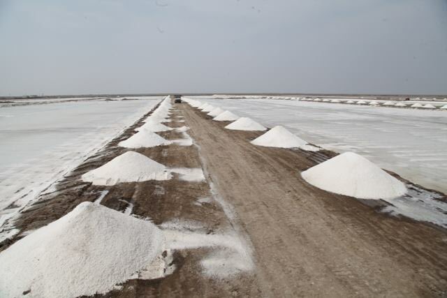 InfoGujarat's tweet image. #SaltProcessing #Morbi #Gujarat (visit our Facebook page for full story)
