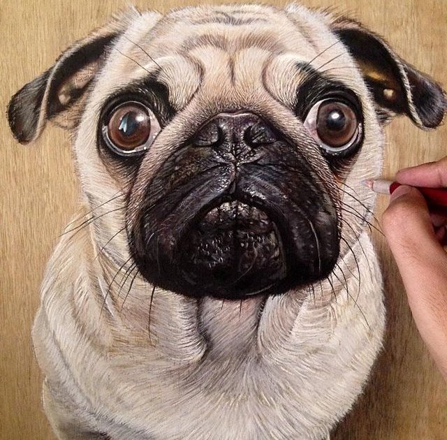 HubStreetArt's tweet photo. Pastel on plywood. Amazing hyper realistic drawing by Ivan Hoo #art https://t.co/HlOfrG8Lin