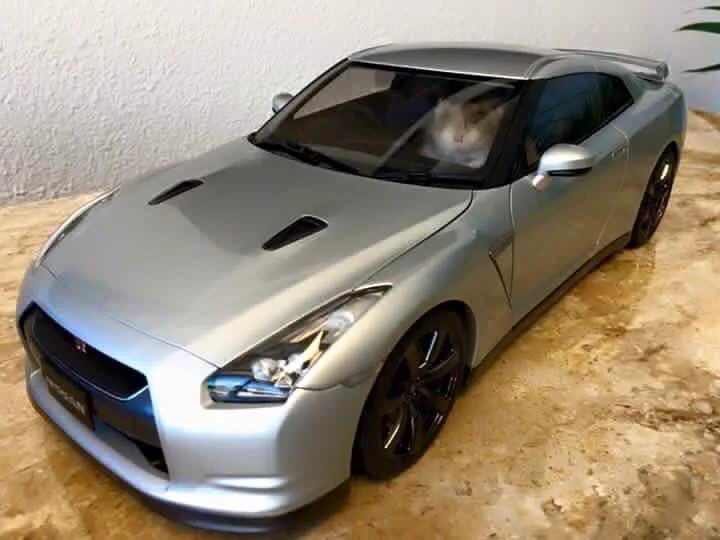 ハムスターがGT-Rに乗っている！？ｗｗｗ可愛すぎる画像ｗｗｗｗ