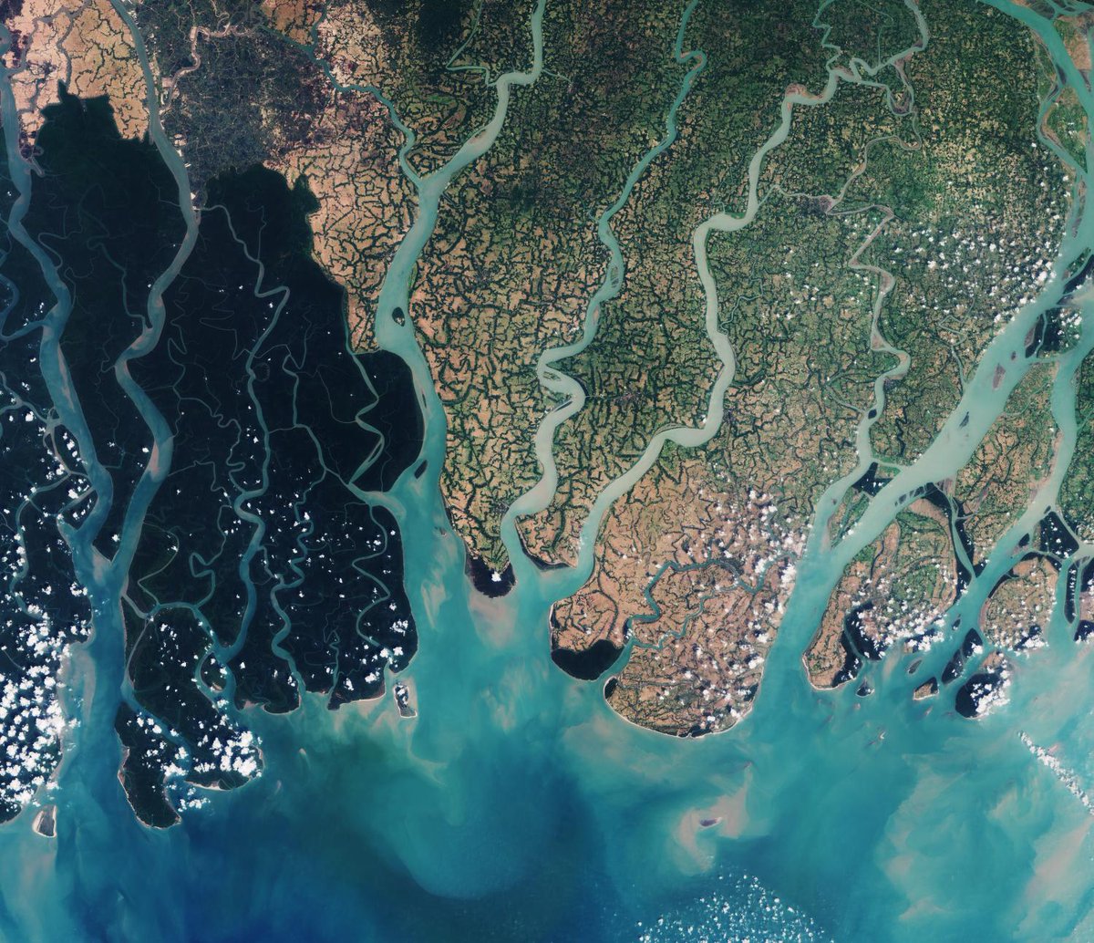 Eastern part of the Sundarbans in Bangladesh in natural-colour image. A remarkable capture by Sentinel-2A satellite.