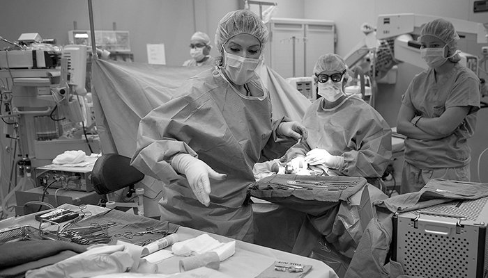 MakerNest3D's tweet photo. BIOPRINTING MARKET OVERVIEW: 3D Printing of Human Organs — Future Perspective &amp; IP Scenario 
https://t.co/UbOr9hlOBs https://t.co/ohGxmHdzeN