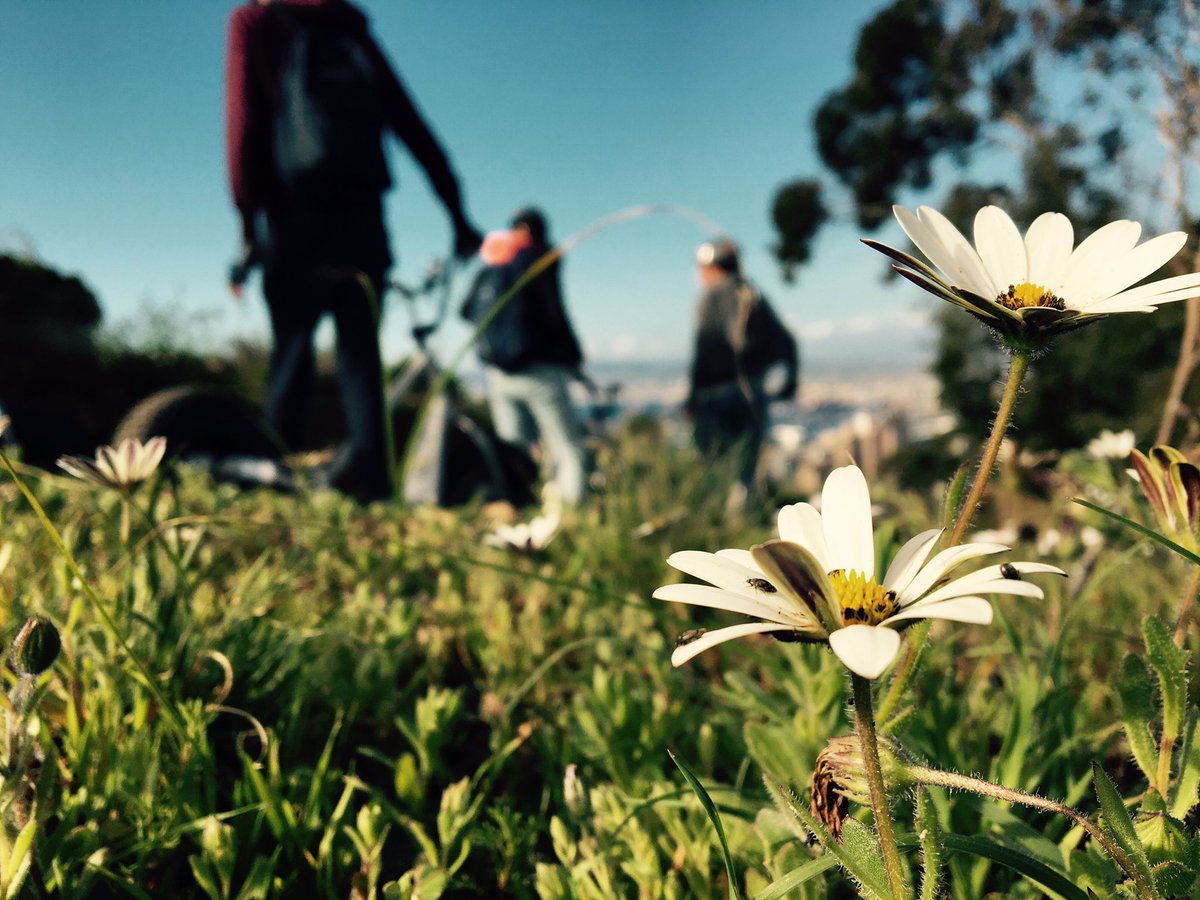 Surrounded by beauty on #tablemountain