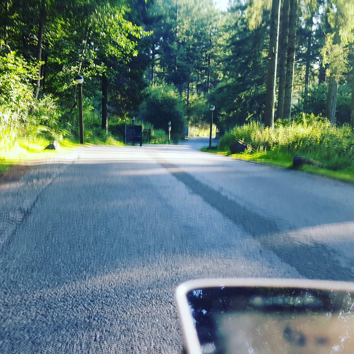 GavinLancaster's tweet photo. Early morning ride #wildlife #lovemywilier #thisiswhyweworkout https://t.co/EJjYjztjKi