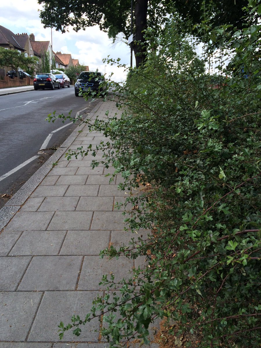 FriendsofNorwoodPark tweet media