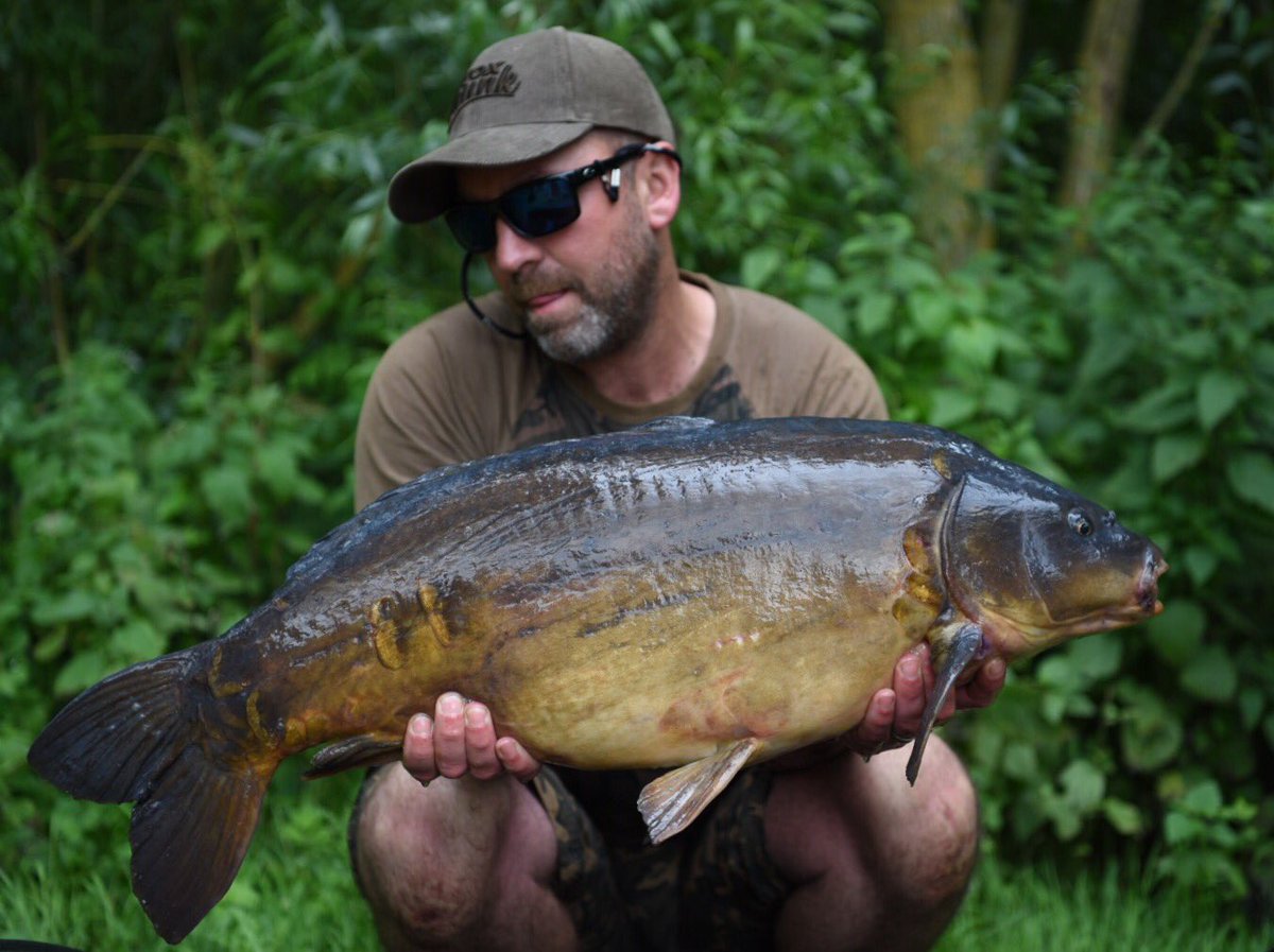 iancatharell's tweet photo. From a few weeks back .... Lovely 🎣 https://t.co/rvePCzznZl