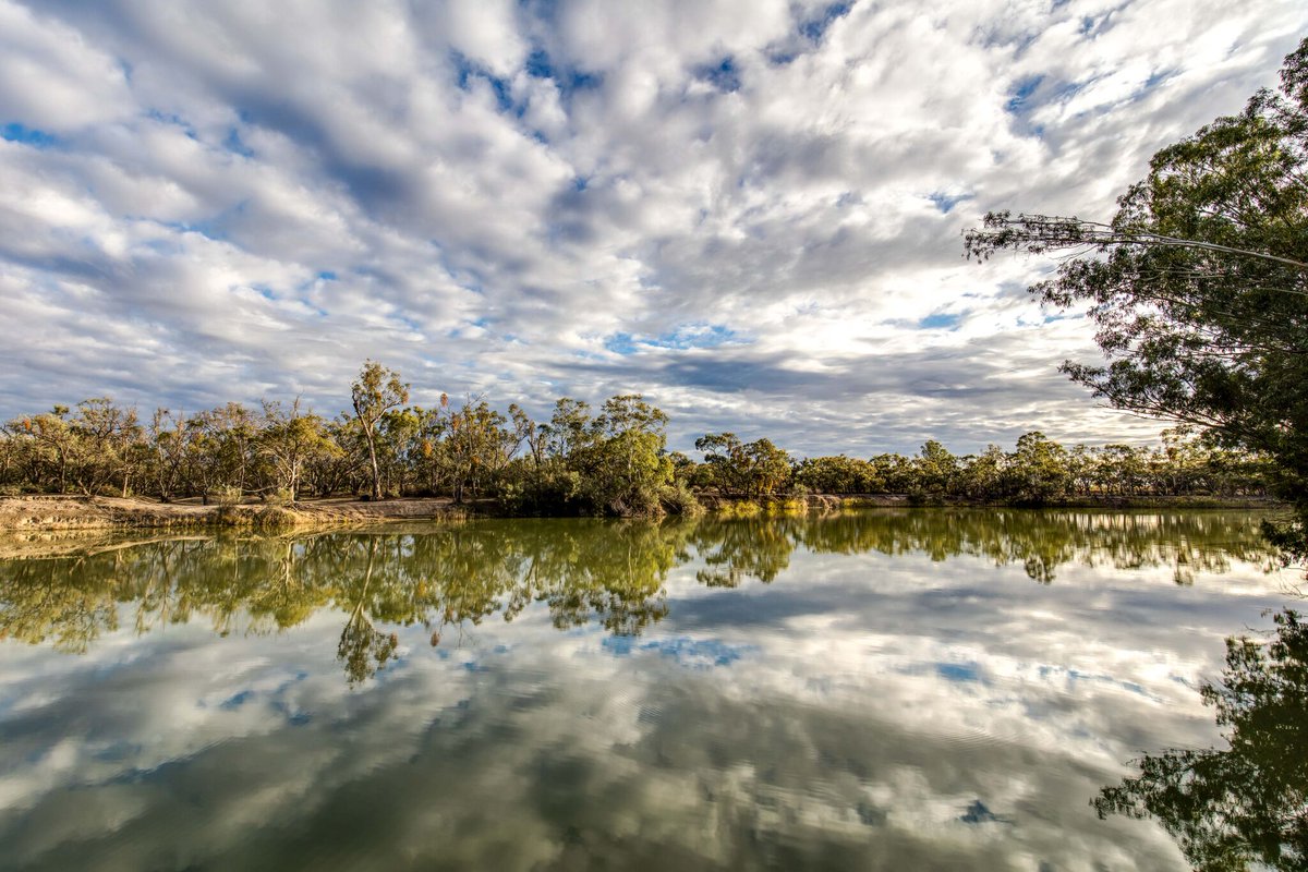 Australia's tweet photo. Meet the newest addition to the @GreatwalksofOz collection - the #MurrayRiverWalk in @southaustralia https://t.co/xN3jox4omQ