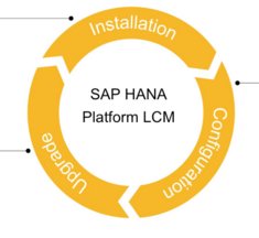 TestsExpert's tweet photo. What are the SAP HANA Lifecycle Management Tools - https://t.co/YLCzmScWpE #saphana #LCM https://t.co/VSm5jrsNqN