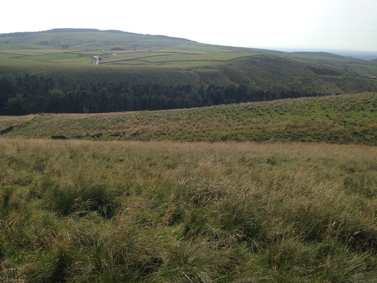 Rhys Wilson tweet media