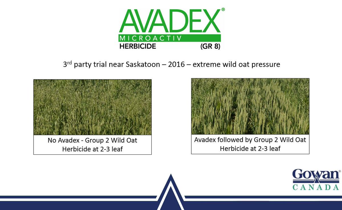 Gowan Company (GowanCo) Twitter