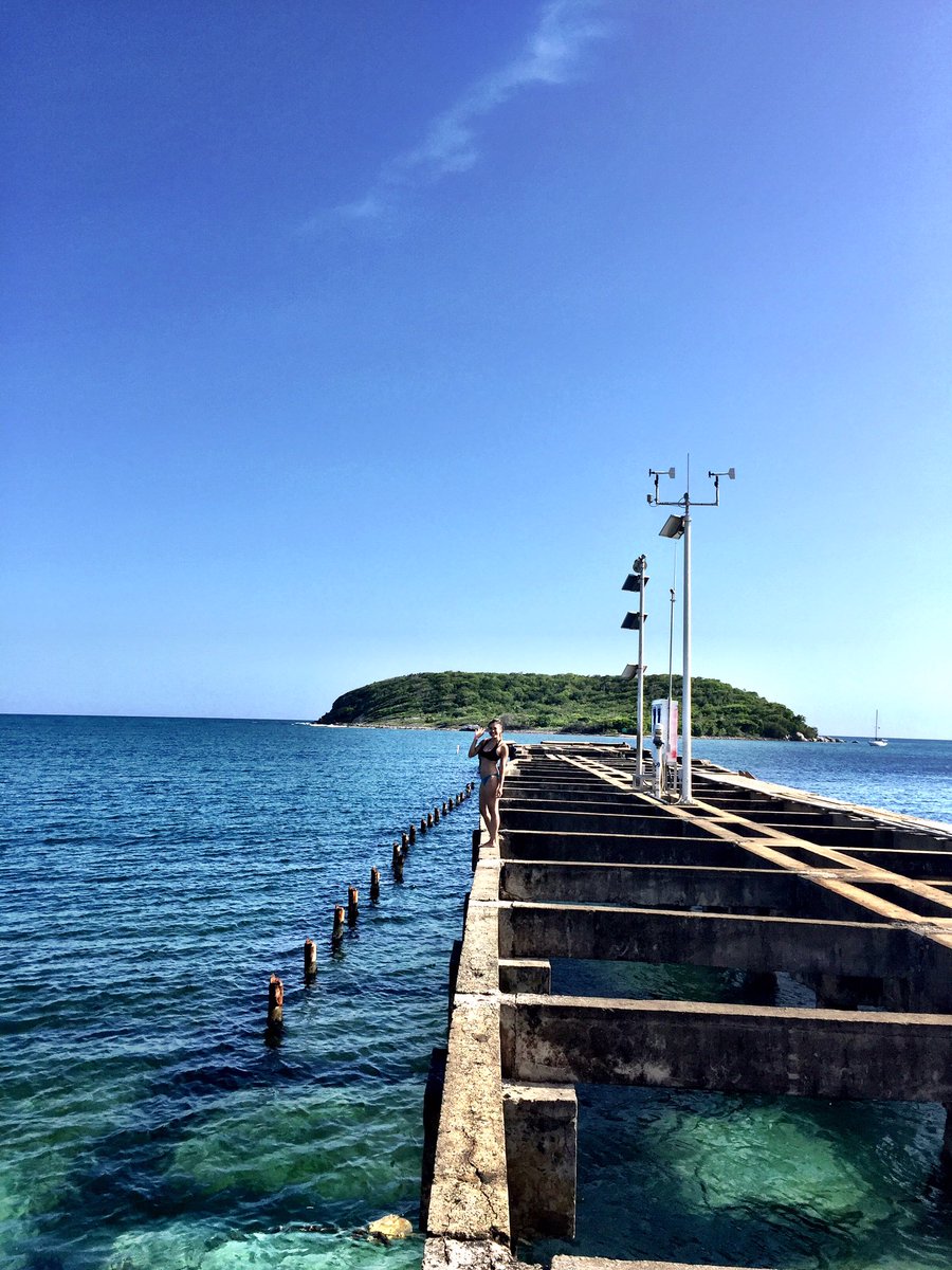 marymackk's tweet photo. Puerto Rico is so beautiful! #vacay #esperanzabeach #PuertoRico #vieques https://t.co/fMcQ4r32fB
