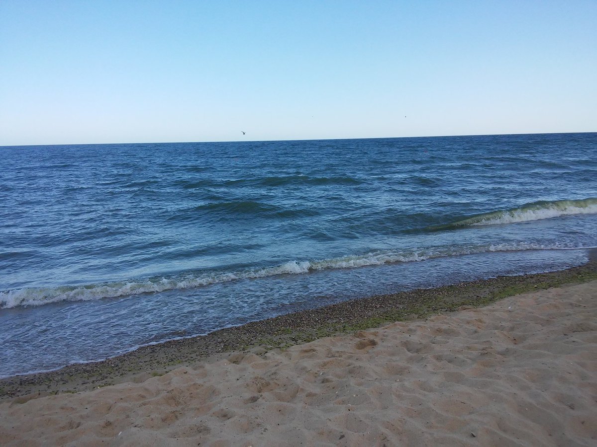 fetchenko's tweet image. Морьце оооооооо 💋💋💋💋💋💋