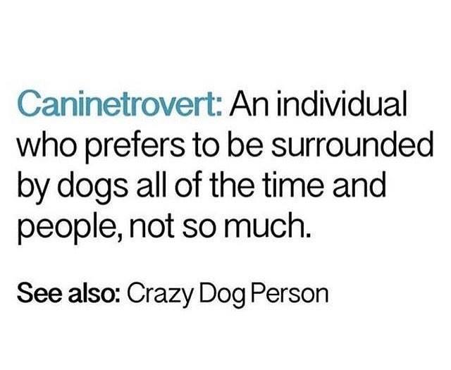 DogOwnersGlobal's tweet image. Well there you go....