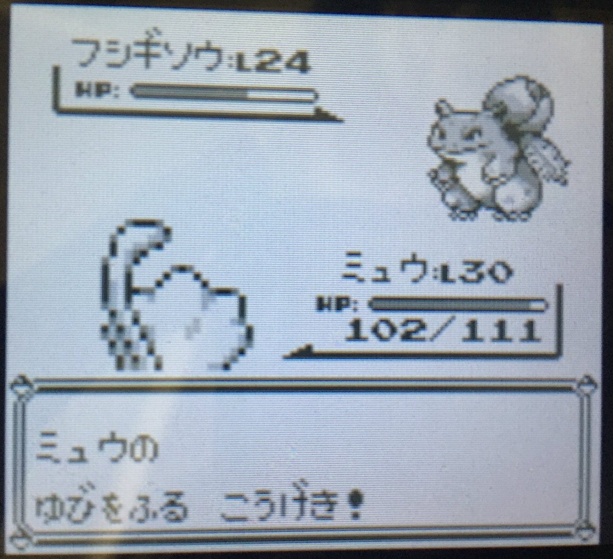 リフ M Sic Forever 初代ポケモン ミュウ6匹 で殿堂入り目指すpart15 ミュウたちがゆびをふるを覚えてこの先ゆびふりゲーw 何でも覚えるミュウは普通にプレイしてたら後半いくにつれてバカみたいに強くなるから暇つぶしの技になる しかしばらつき半端ない