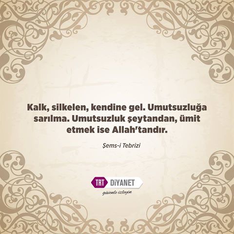 Video yosh yigit bilan jinsiy aloqa