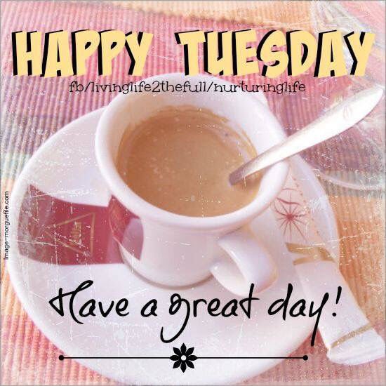 AdriMckinnon76's tweet photo. good morning happy tuesday everyone enjoy your day may god bless you all #goodmorninghappytuesday https://t.co/zIVI74DtEH