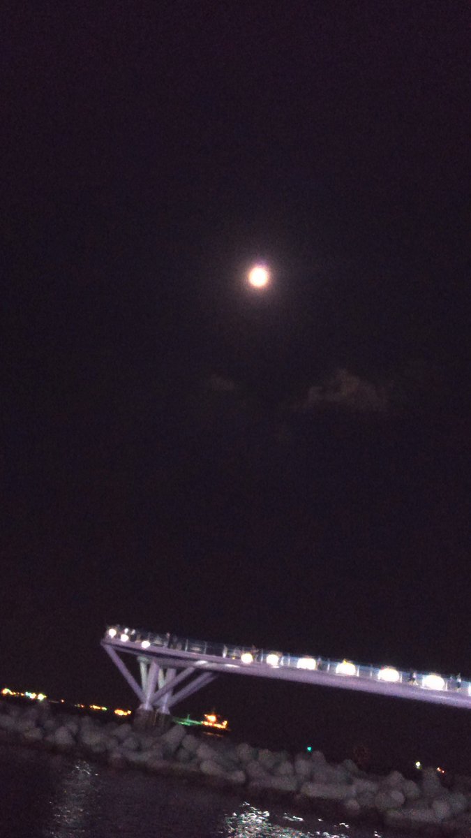 oj5500's tweet photo. #송정바다  #오달이 https://t.co/ebkHIZ3D5L