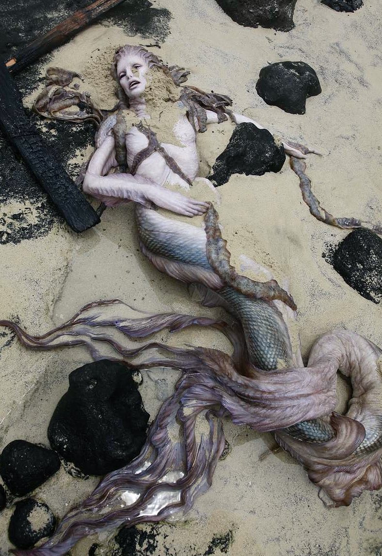 人体模型マモルくん ほ 本物 S 浜辺に打ち上げられた人魚の遺体をリアルに表現した精巧なアート作品 By Joel Harlow 尻尾が生々しすぎてちとキモいっすね 人体模型