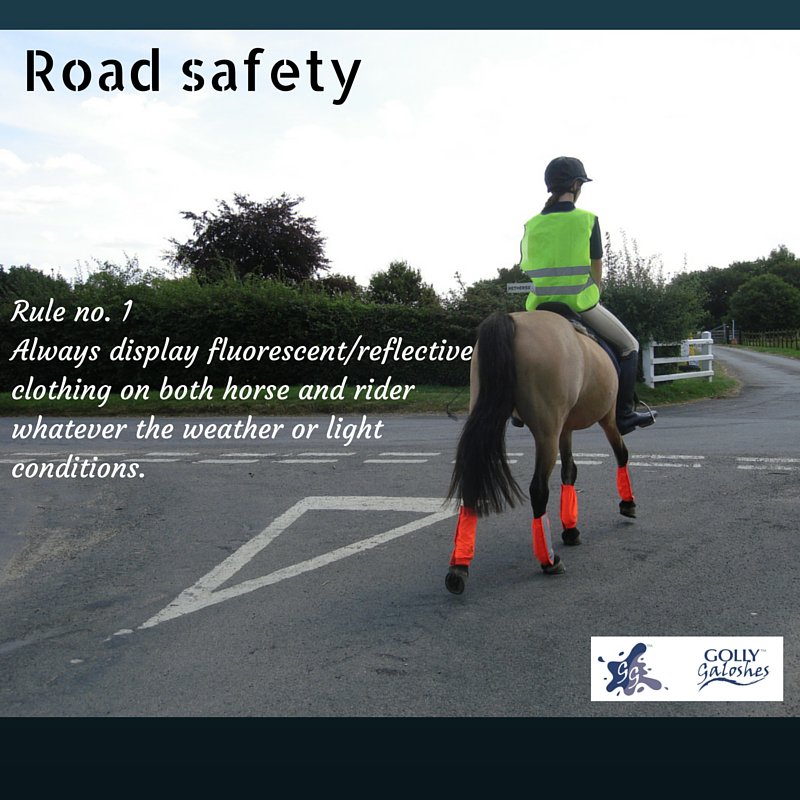 GollyGaloshes's tweet image. #summerhacking #beseenbesafe