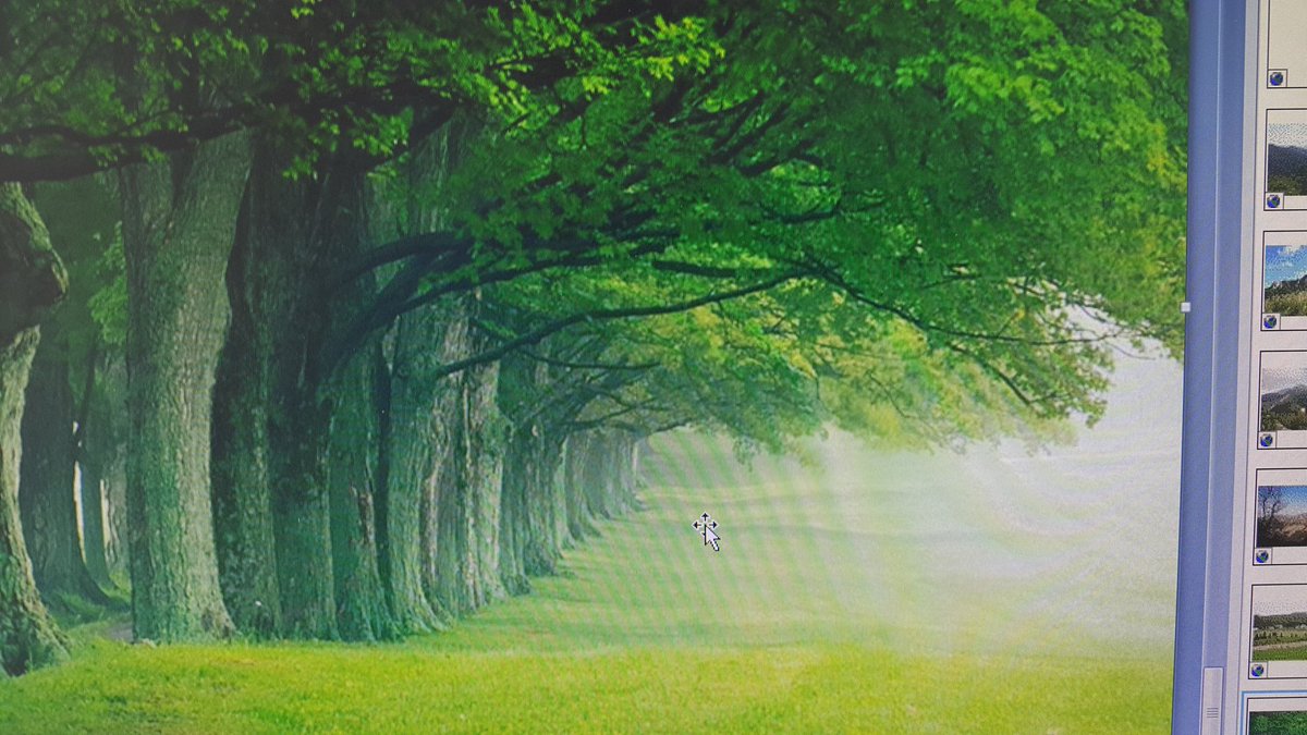 qhd68 (@0668_9326) on Twitter photo 