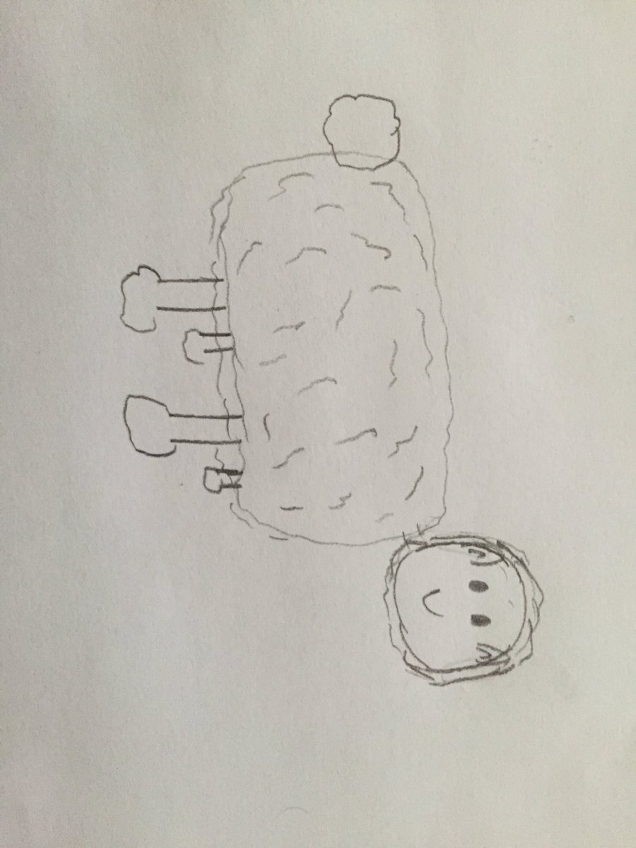 MiguelFlo3's tweet image. #HPCCM #DibujameunaOvejita