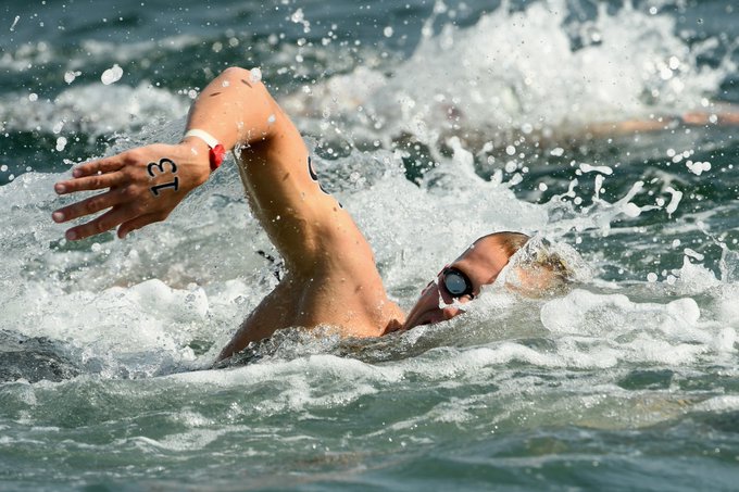 View image on Twitter