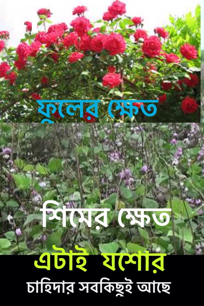 Faruk228Md's tweet photo. #posterplus #poster #posterapp https://t.co/PrL7iToUwB
