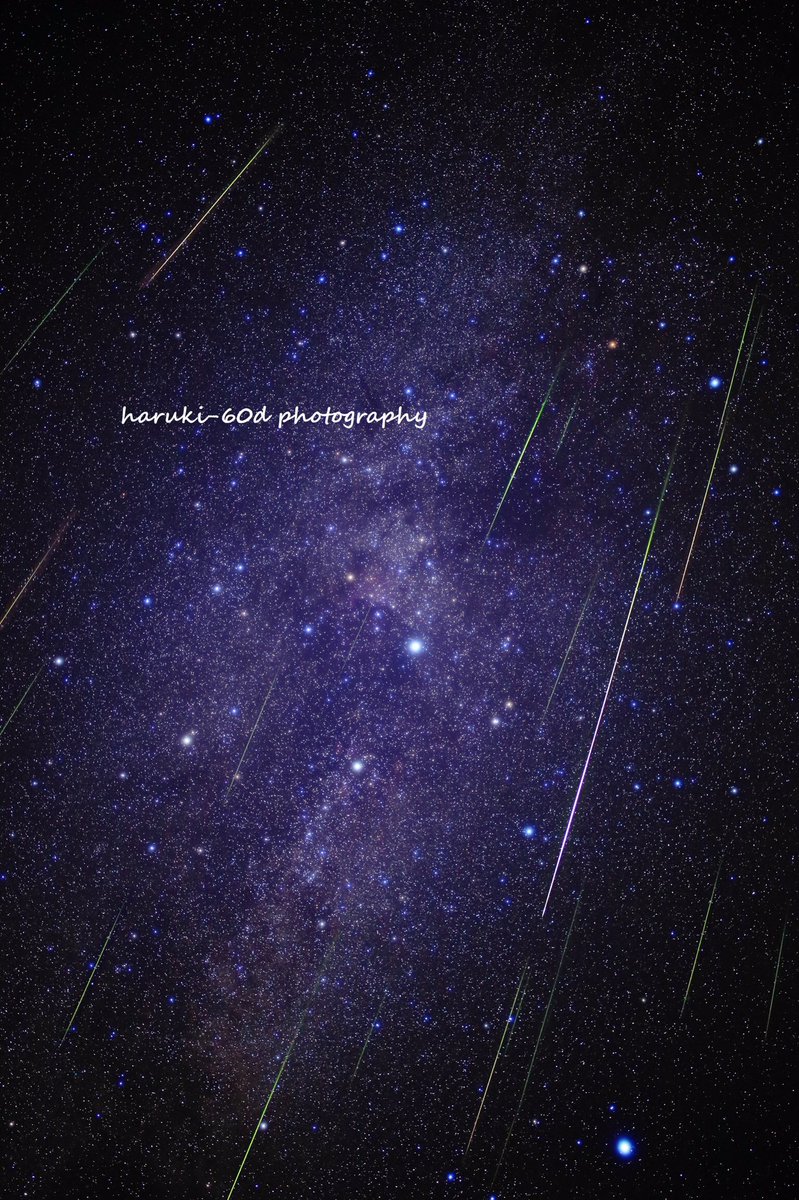 Haruki 60d Photo ペルセウス座流星群 16 ２０１６年ペルセウス座流星群の撮影してきました 流星をまとって舞い降りる白鳥の姿をご覧ください 高画質はこちら T Co Frljw0unsa ペルセウス座流星群