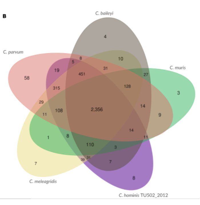 veupathdb's tweet image. Draft genome sequences of 3 additional Cryptosporidium species - see them in #CryptoDB.org femspd.oxfordjournals.org/content/early/…