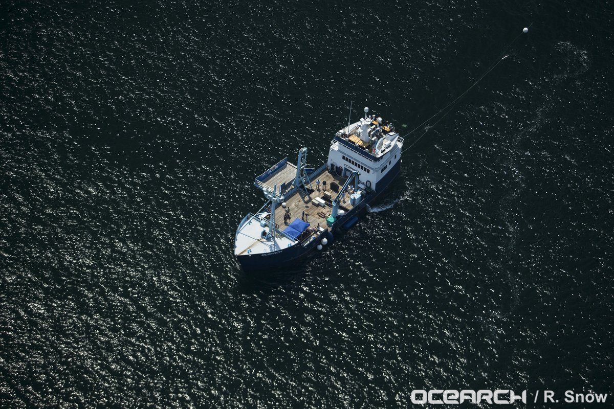 OCEARCH's tweet photo. Questions about #ExpeditionNY? Join us tomorrow for a @TweetChat at 6-7pm EST! Tweet your Q's NOW w/ HT #SharksChat. https://t.co/ZuxJLGDzEE