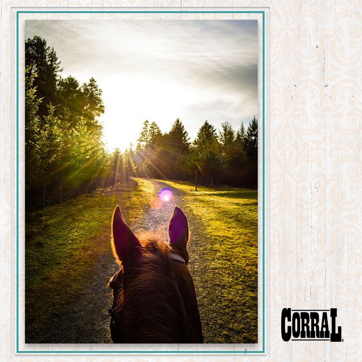CorralBoot's tweet photo. Best view in the whole world!
Who feels this way when out riding? #CorralBoots #CorralWorld https://t.co/ovGildKkI3