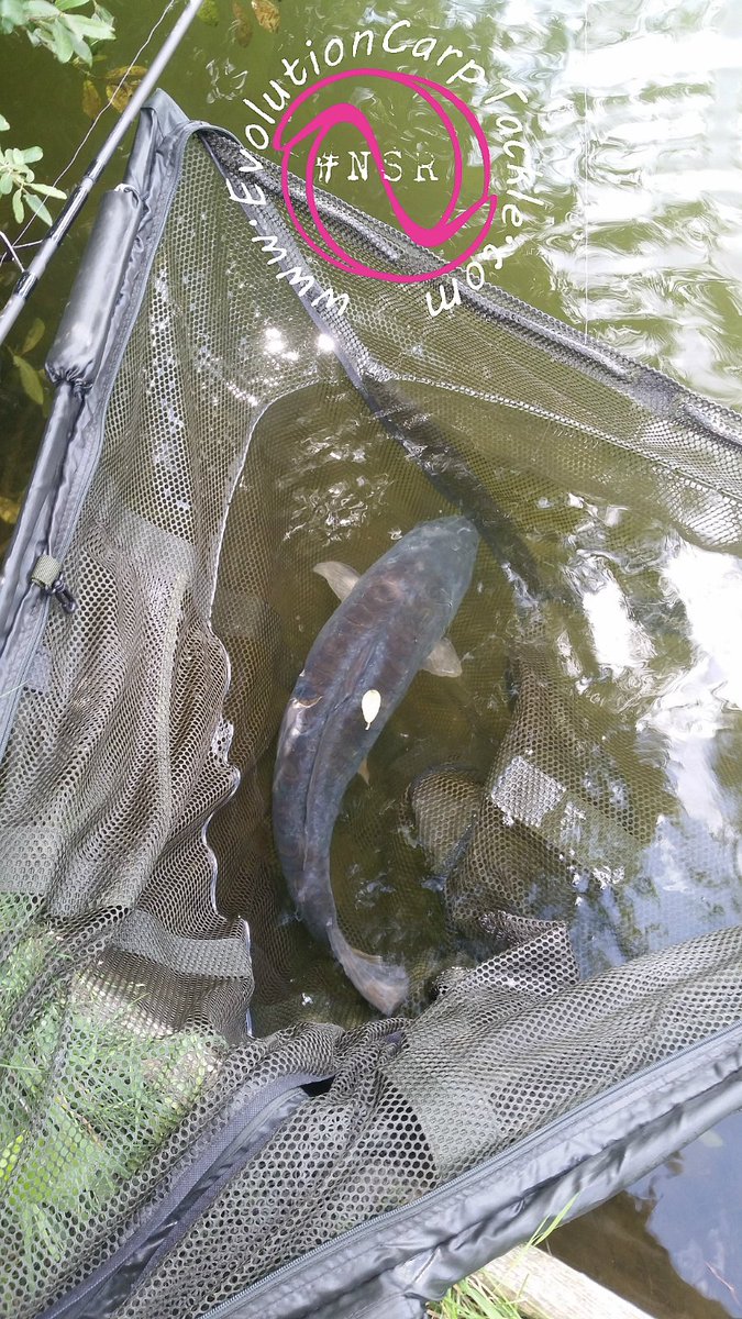 EvoCarpTackle's tweet photo. +++ Evolution Carp Tackle 'On the Bank' +++
Team nember Tom Milson putting his NSR to good use as always. https://t.co/8fy1xSJSFL