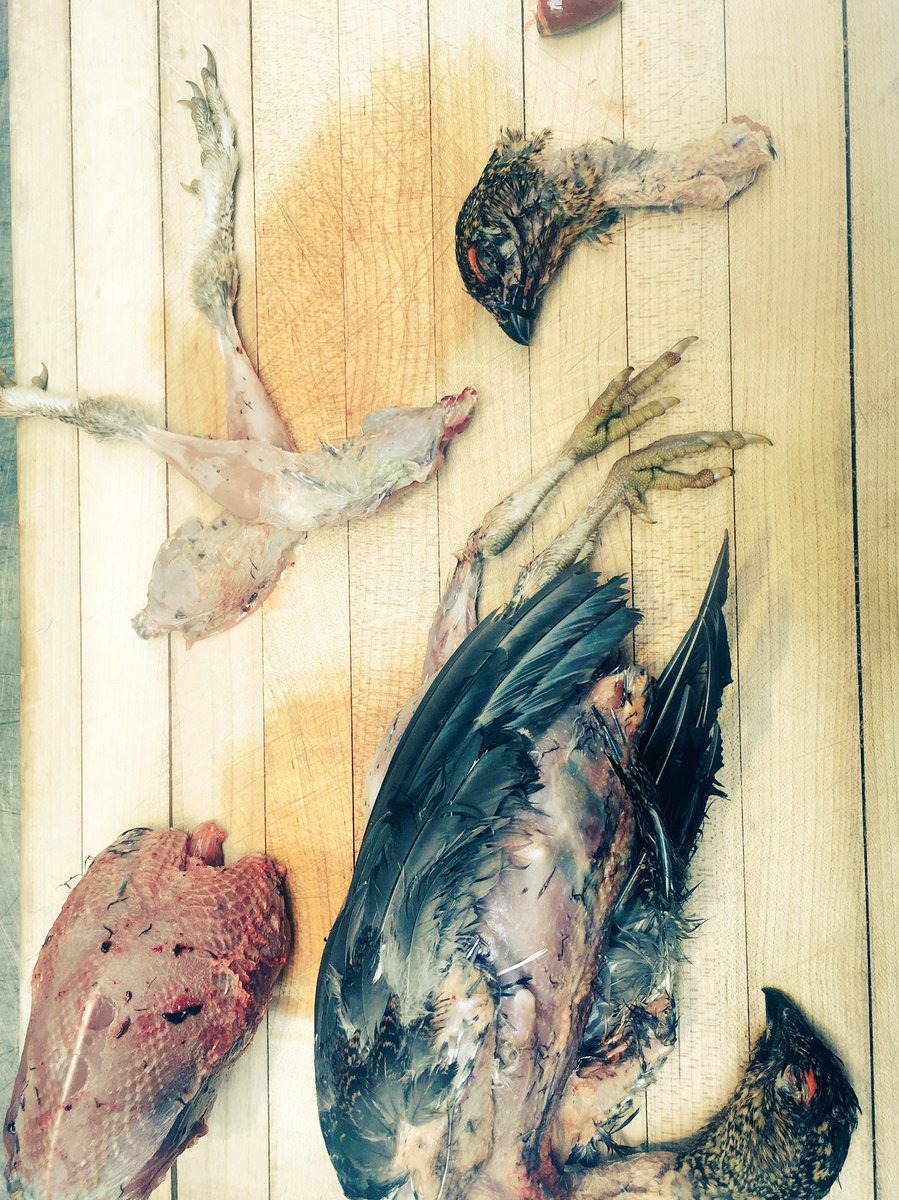 First Grouse of the season #glorioustwelfth get ready Heddon Street!! <a href="/GordonRamsayGRP/">GordonRamsayGRP</a> <a href="/GordonRamsay/">Gordon Ramsay</a> #special
