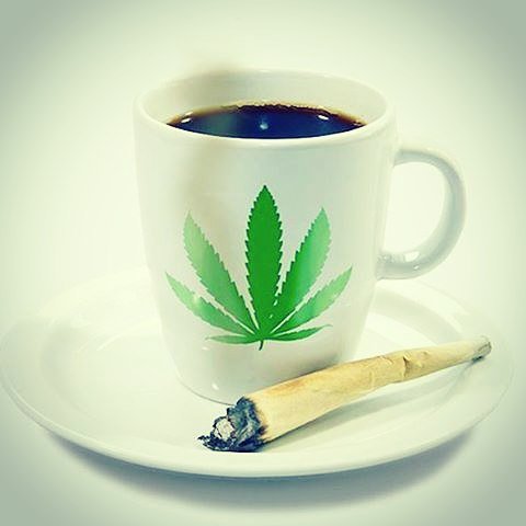 NattyNation's tweet photo. Good days begin with cannabis and caffeine. #goodmorningpost #goodvibes #goodmusic #cannabis #caffeine #420 #risean https://t.co/N9xxo8PPyq