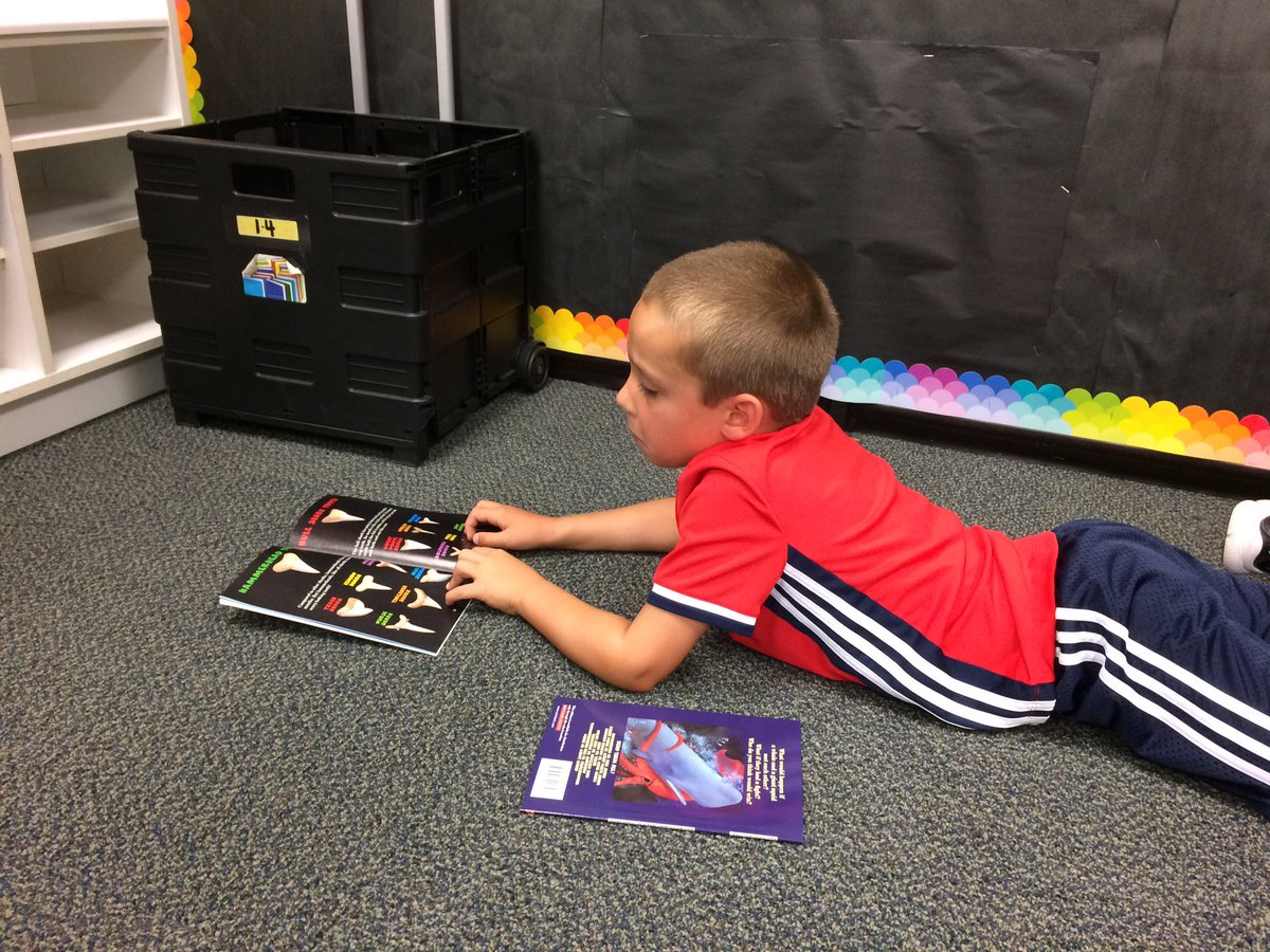 Building our reading stamina.