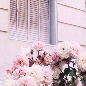 AES4LTE's tweet photo. moodboard // jiho https://t.co/nZ5msayZu5