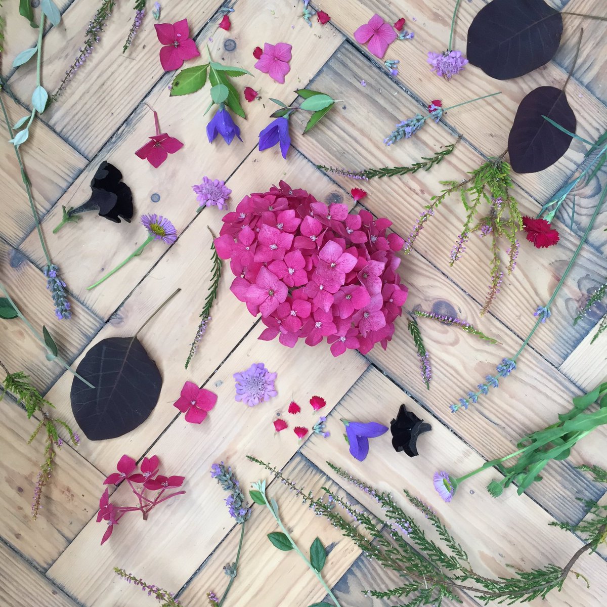 jess_and_jules's tweet image. Playing with #SummerBotanicals for the 2nd #summerschool2016 brief from @MakeitinDesign 🌺🌿🌸 ^Jess