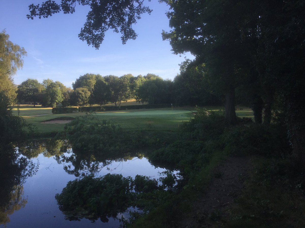 Clearance work around the 17th pond and on the island. Makes such a difference.