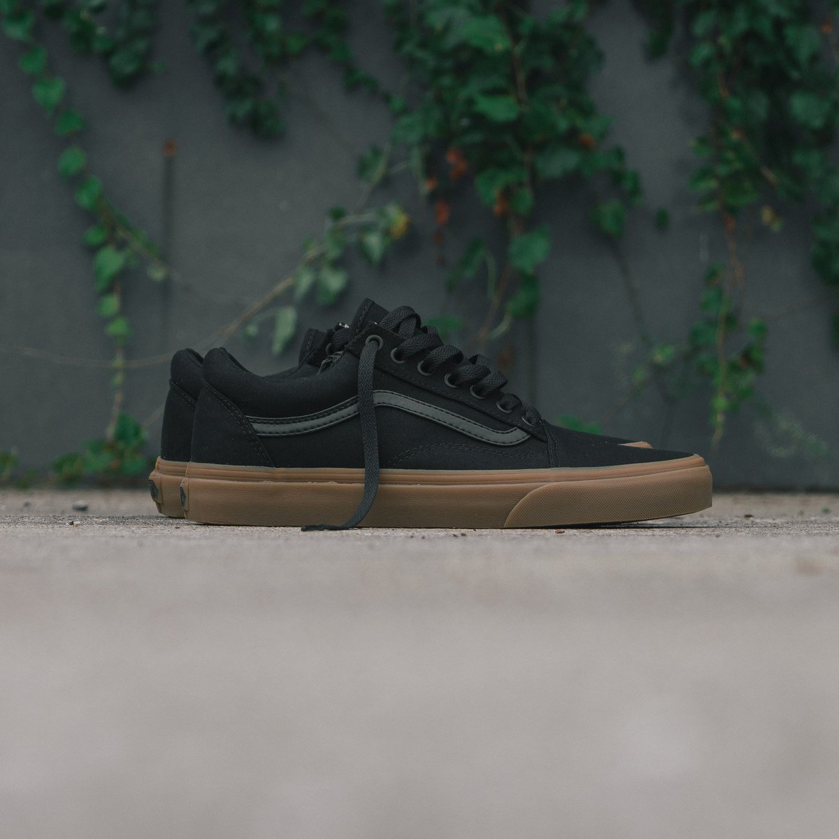 vans notre old skool