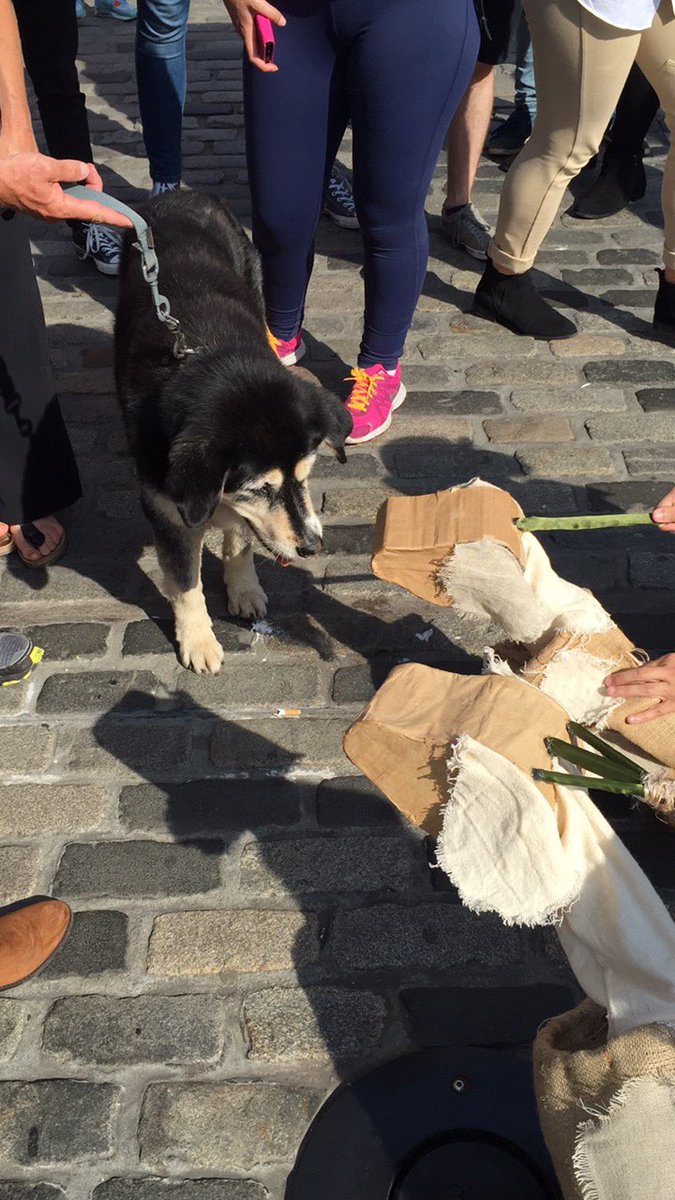 Poorfool Theatre Co. tweet media