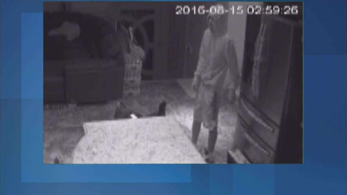 News12LI's tweet photo. Police: 4 men break into home in #NorthWoodmere
https://t.co/aAIbHd5Czm https://t.co/tJ0PkD1vGt