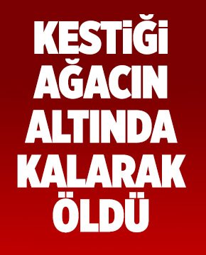 KESTİĞİ AĞACIN ALTINDA KALDI
kutahyaolay.com/haberoku/kesti…