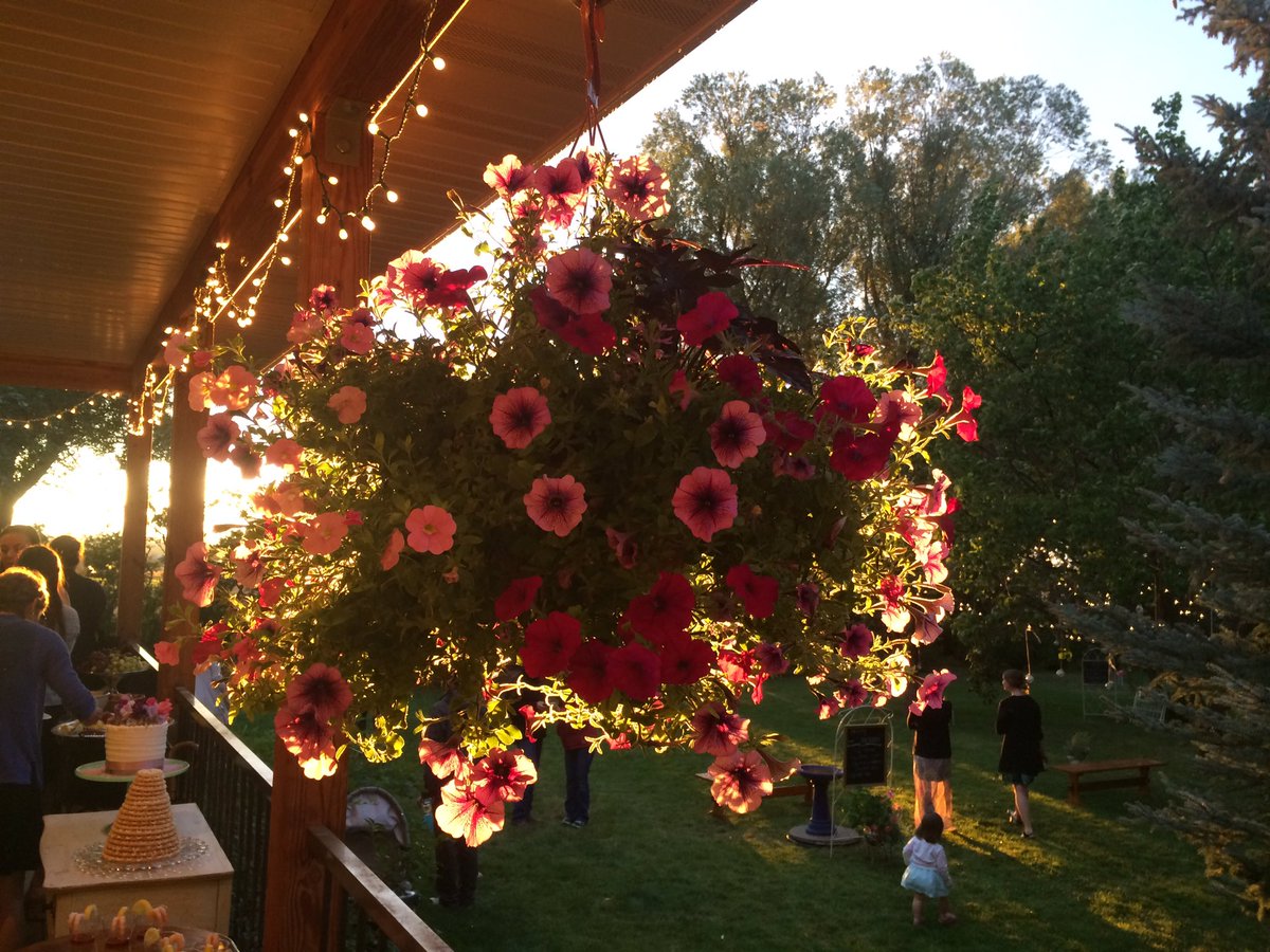 Isa 44:6this is what the Lord says Israel  redeemer the Lord Almighty I am 1st to last apart form me there is no God