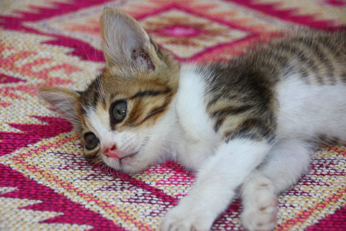 Yaz günü başka ne yapılır ki?
 Gel keyfim gel.....