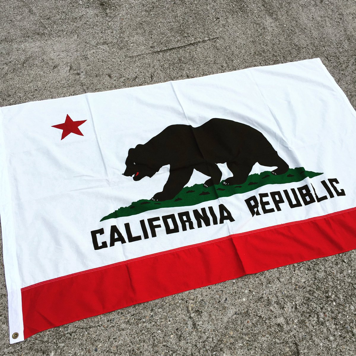 カリフォルニア州旗 カリフォルニア州旗