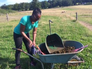 AnimalsHealer's tweet image. estheraustinglobal.com/horses-healing… #Blog
#equestrian 
#horses 
#HorseHour 
#KPRS
#FlockBN
#Animals
#UKSOPRO
#TeamPMA