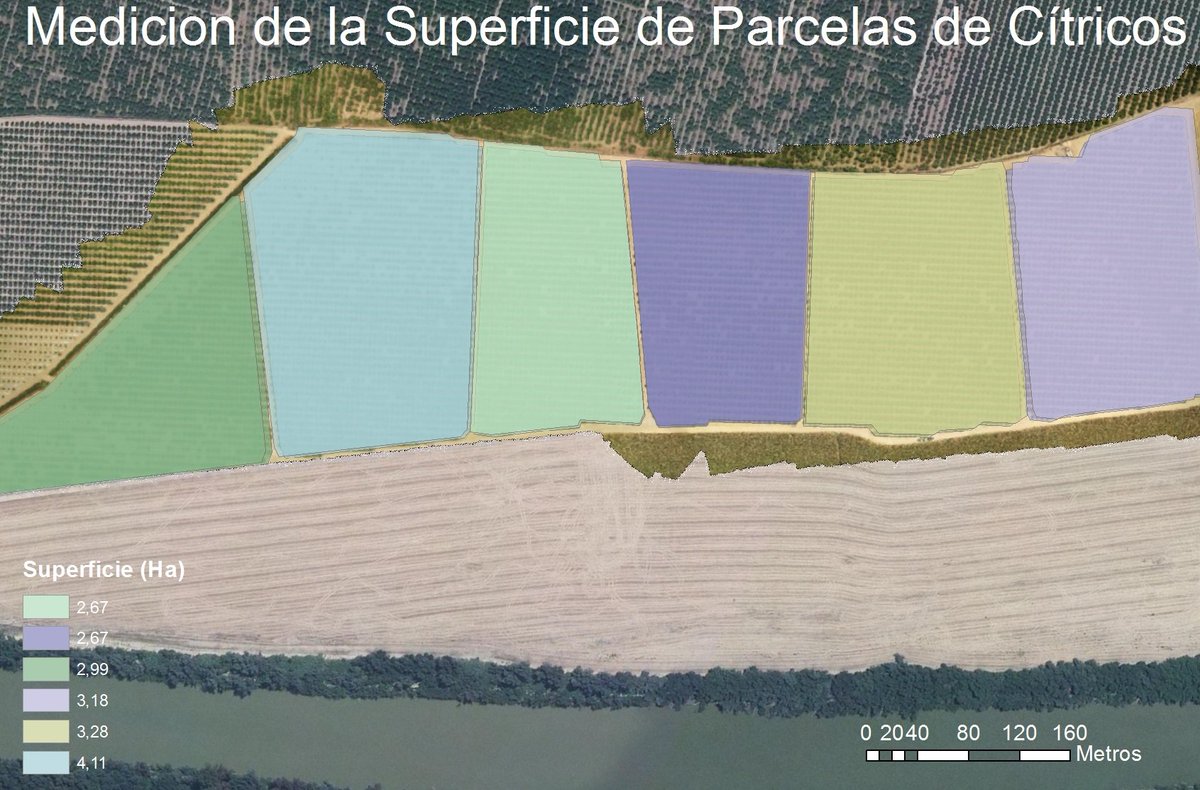 DroneVision_'s tweet photo. ¿Cálculos de rendimiento en cítricos? Utilizando #Drones #RTK #NVDI #GIS calculamos la productividad de cada parcela https://t.co/AGbMmhvK3O
