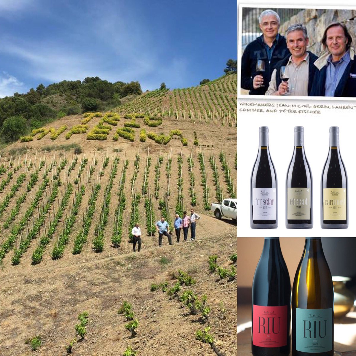 nit_de_vins's tweet photo. L'Infernal celler de Torroja que podreu conèixer el 20 d'agost #nitdevins2016 #priorat #winetasting #vicatalà https://t.co/7oBckmZhZz