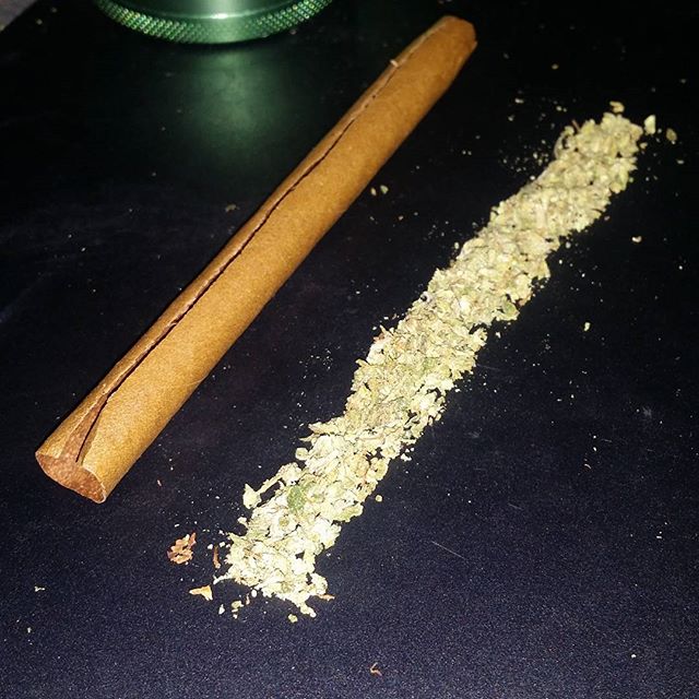 PatsyShern's tweet image. Lets roll baby