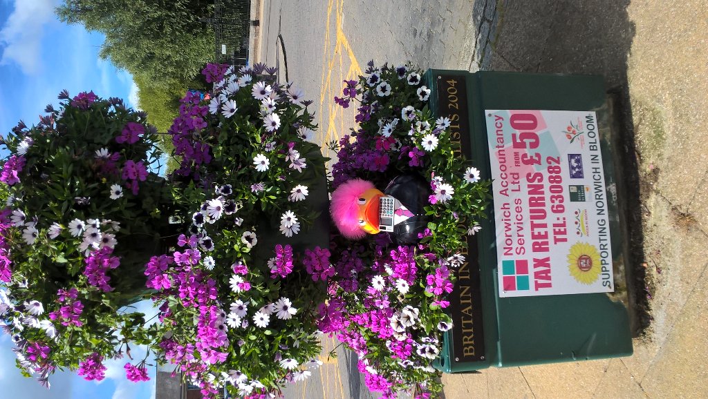 Quacksreturnsfrom£50 tweet media