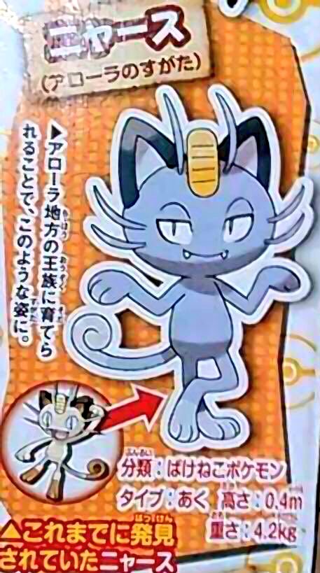 Noriyukiworks 0910kaeru コメント失礼します 前のニャースをアローラに連れてくれば安心です それにリサイクル系より新ポケモンどんどん増やしてほしいです W Twitter